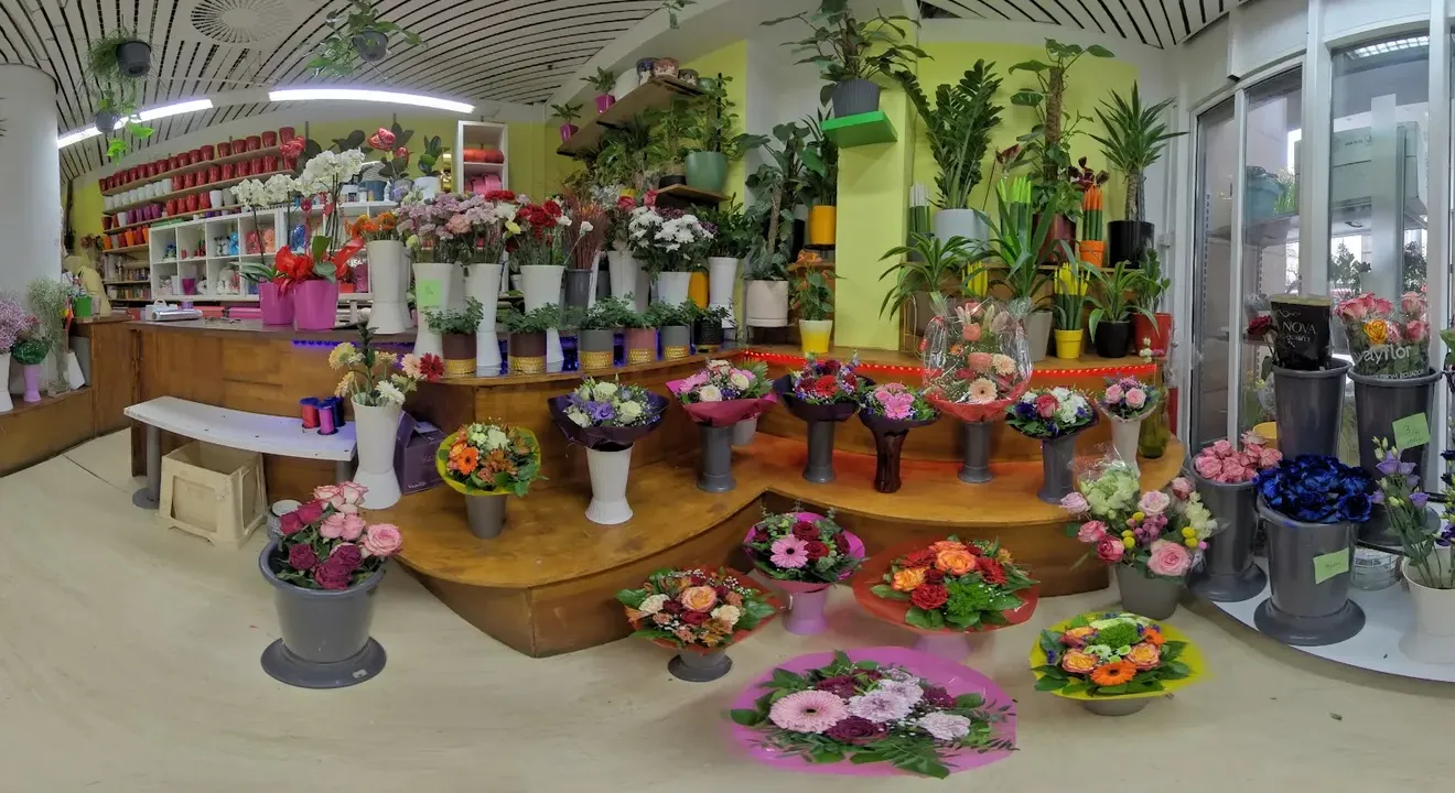 Der Laden von Flower Power im Kiesel: Stufen voller Blumen, grüne Wände und Pflanzen